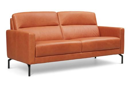 Leren salons Gibbons
