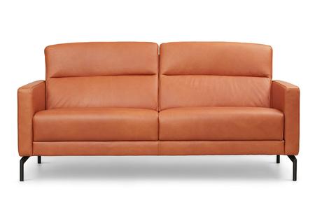  - Leather couch , Model Gibbons