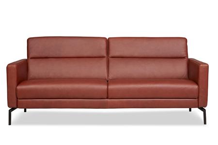  - Leather couch , Model Gibbons