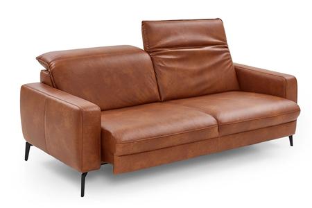  - Leather couch , Model Harry