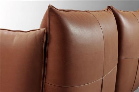  - Leather couch , Model Vasa
