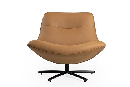  - Leather armchair , Model Clark